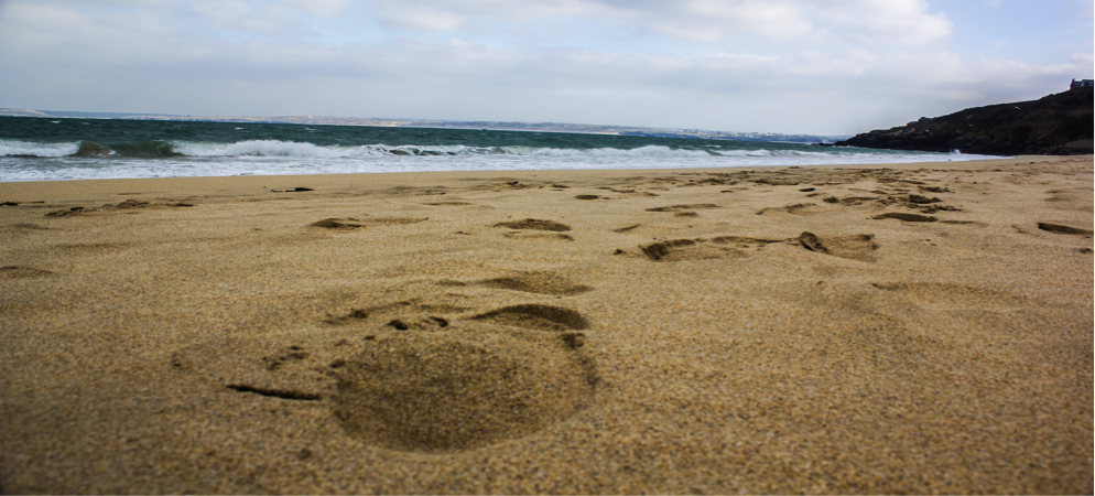 A great day for a beach clean for plastic free St Ives.